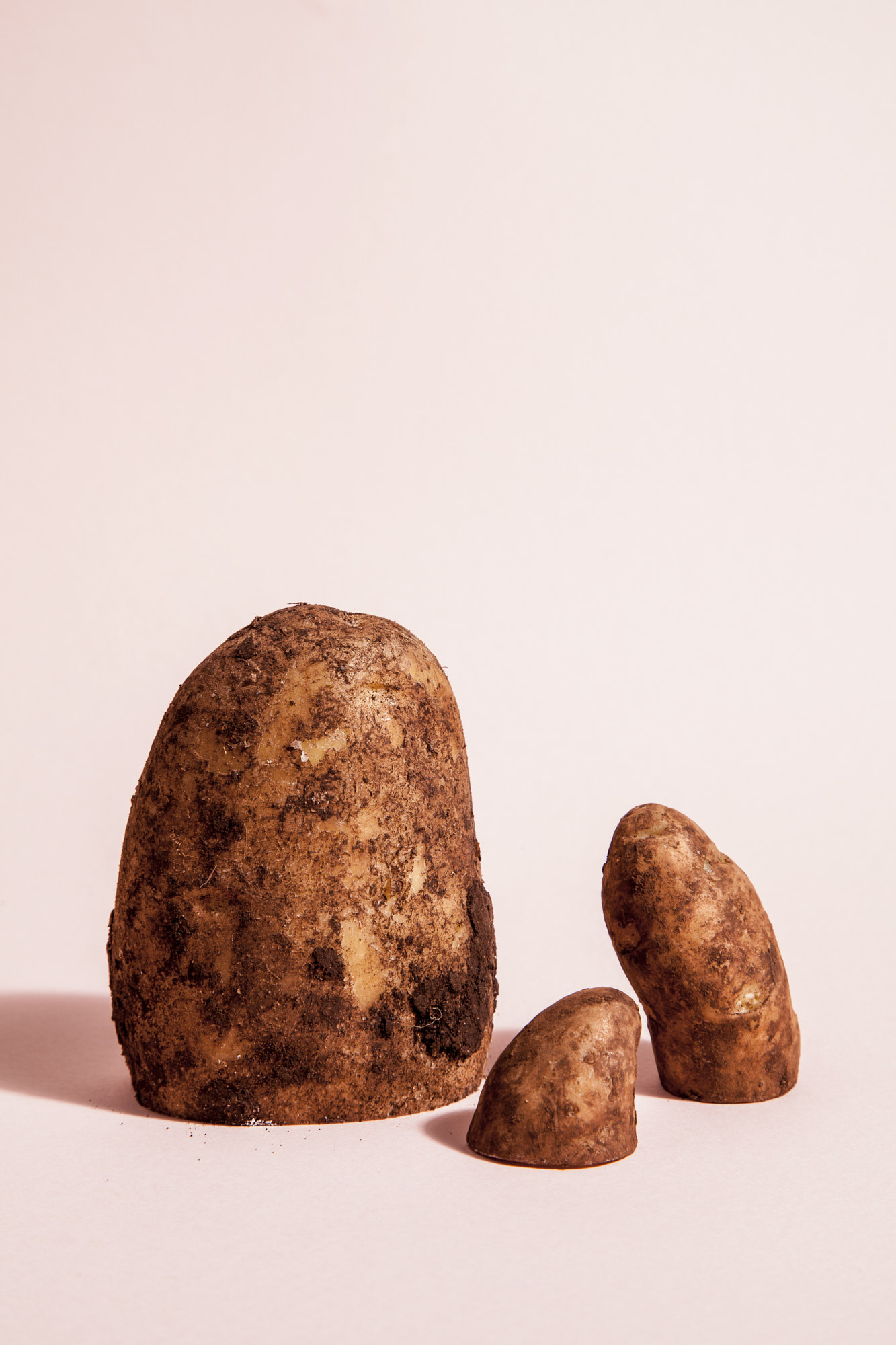 SMCLEOD_LocavoreTAS (5 of 28)_Potato