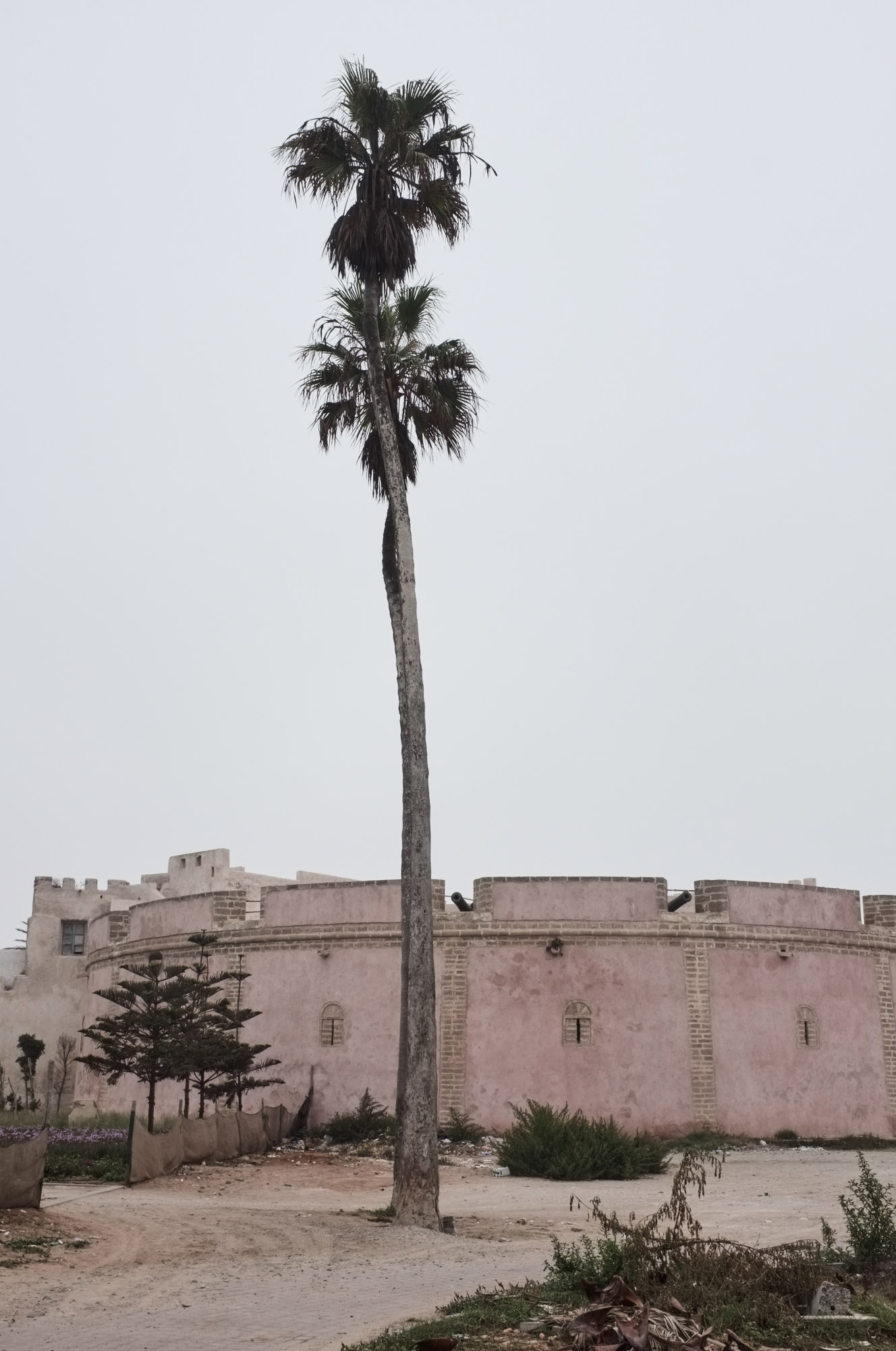 SMCLEOD_Morocco_2016_09_46