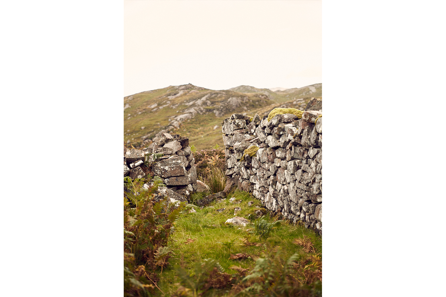 CMSGrant_ManishBeg_025