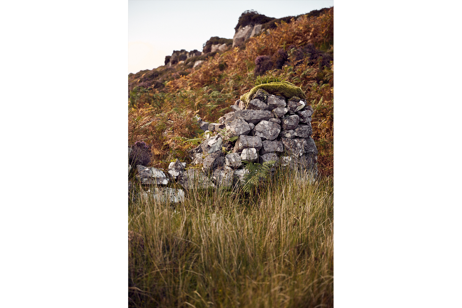 CMSGrant_ManishBeg_029