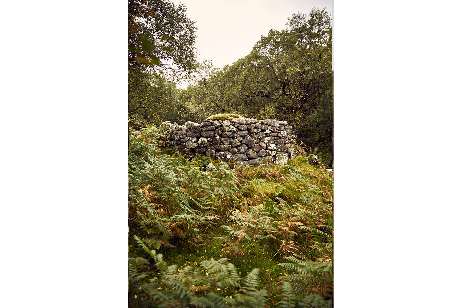 CMSGrant_ManishMore_011