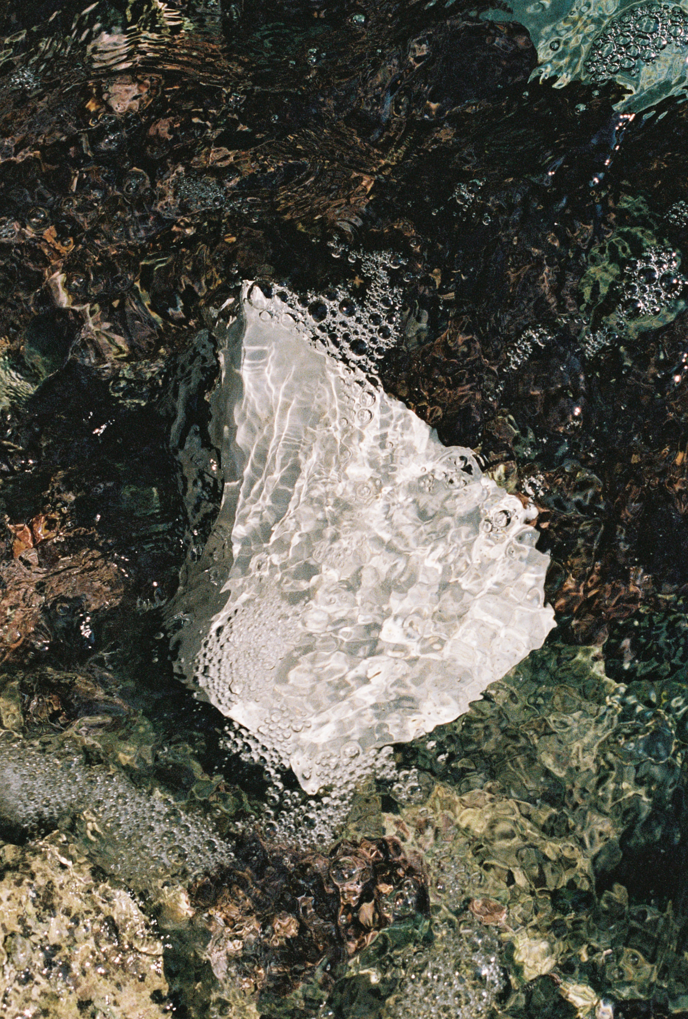 SMCLEOD_014