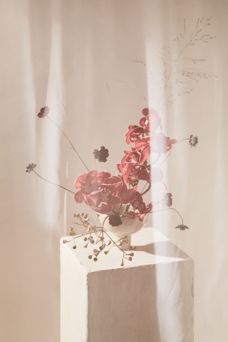 20191026_CosmosAndPlums_055